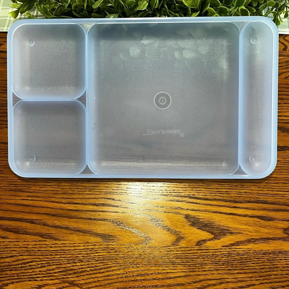 Tupperware Classic Divided Picnic Camping‎ Trays Set of 4 Multicolor #1535